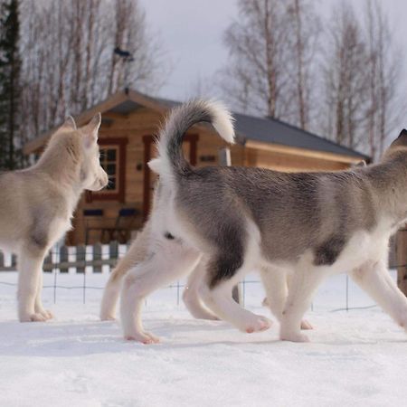 Cabin On Husky Farm Stromsund Bagian luar foto